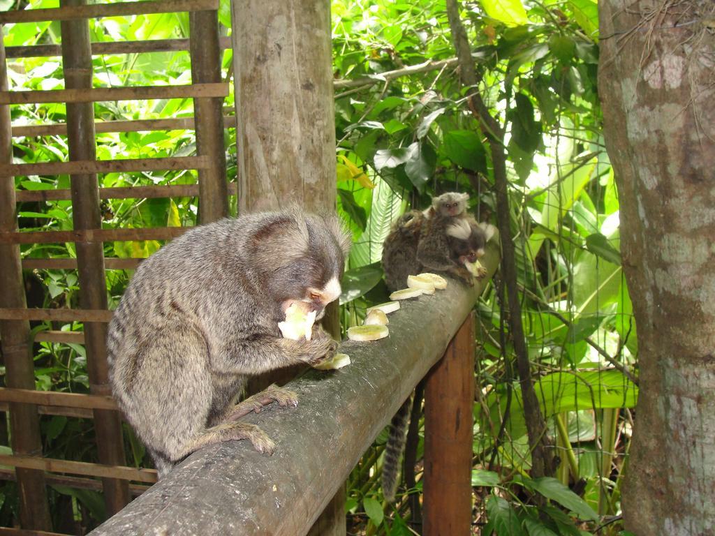 Pousada Da Terra Paraty Eksteriør billede